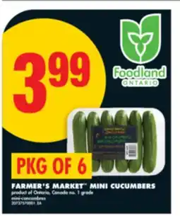 No Frills FARMER'S MARKET MINI CUCUMBERS, PKG OF 6 offer