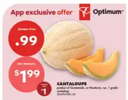 No Frills CANTALOUPE offer