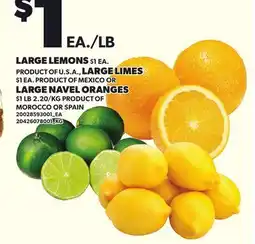 Loblaws LARGE LEMONS, LARGE LIMES, LARGE NAVEL ORANGES offer