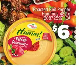 Loblaws ROASTED RED PEPPER HUMMUS offer