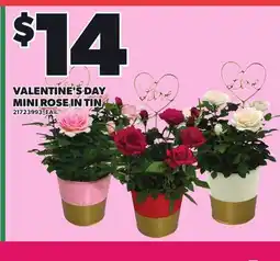 Loblaws VALENTINE'S DAY MINI ROSE IN TIN offer