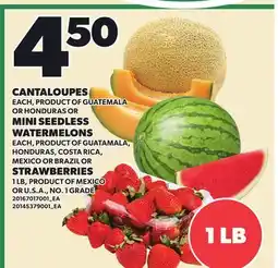 Loblaws CANTALOUPES, MINI SEEDLESS WATERMELONS, STRAWBERRIES 1 LB offer
