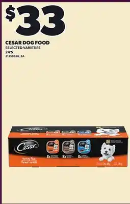 Loblaws CESAR DOG FOOD, 24'S offer