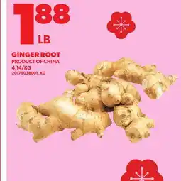 Loblaws GINGER ROOT offer