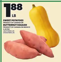 Loblaws SWEET POTATOES or BUTTERNUT SQUASH offer