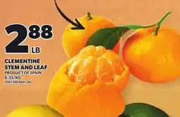 Loblaws CLEMENTINE STEM AND LEAF offer