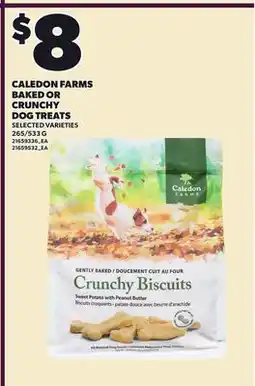 Loblaws CALEDON FARMS BAKED OR CRUNCHY DOG TREATS, 265/533 G offer