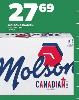 Loblaws MOLSON CANADIAN, 12X473 ML CANS offer