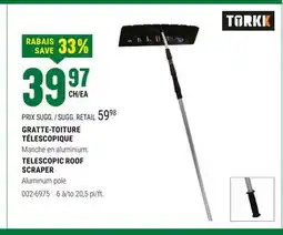 BMR GRATTE-TOITURE TÉLESCOPIQUE offer