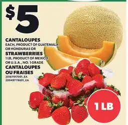 Independent Grocer CANTALOUPES, EACH STRAWBERRIES 1 LB offer