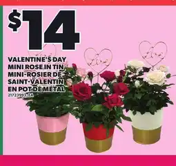 Independent Grocer VALENTINE'S DAY MINI ROSE IN TIN offer