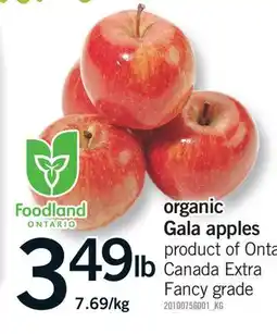 Fortinos ORGANIC GALA APPLES, 7.69/KG offer