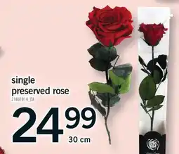 Fortinos SINGLE PRESERVED ROSE, 30 CM offer