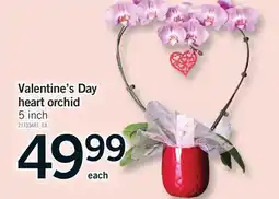 Fortinos VALENTINE'S DAY HEART ORCHID, 5 inch offer