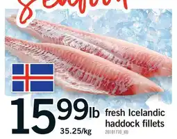 Fortinos FRESH ICELANDIC HADDOCK FILLETS offer