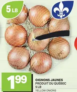 L'Intermarché OIGNONS JAUNES | YELLOW ONIONS, 5 LB offer