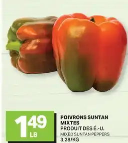 L'Intermarché POIVRONS SUNTAN MIXTES | MIXED SUNTAN PEPPERS offer