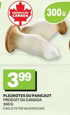 L'Intermarché PLEUROTES DU PANICAUT | KING OYSTER MUSHROOMS offer
