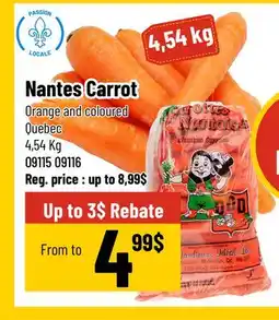 Mayrand Nantes Carrot offer