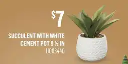 Canac Artificial Succulent Plant with White Cement Pot offer