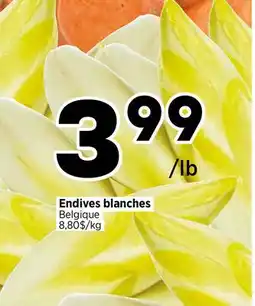 Val-Mont Endives blanches offer