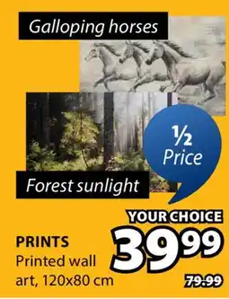 JYSK PRINTS Printed wall art offer