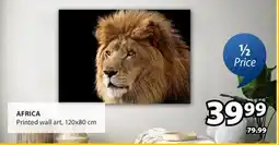 JYSK AFRICA Printed wall art offer