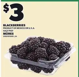 Independent City Market BLACKBERRIES offer