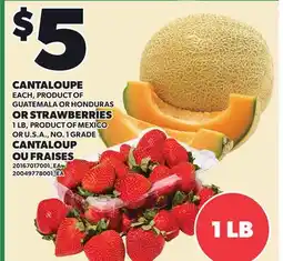 Independent City Market CANTALOUPE OR STRAWBERRIES, 1 LB offer