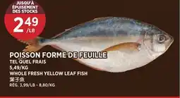 Kim Phat WHOLE FRESH YELLOW LEAF FISH offer