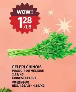Kim Phat CHINESE CELERY offer
