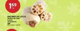 Kim Phat LOTUS ROOTS offer