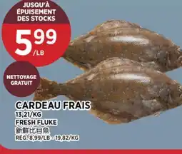 Kim Phat FRESH FLUKE offer