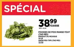 Kim Phat SNOW PEA TIPS (TAO MEI) offer