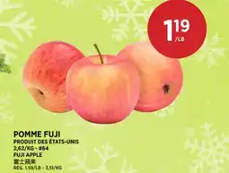 Kim Phat FUJI APPLE offer
