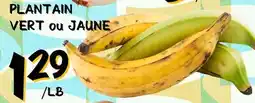 Marche Salaberry PLANTAIN VERT ou JAUNE offer