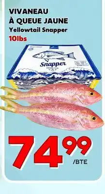 Marche Salaberry VIVANEAU À QUEUE JAUNE offer