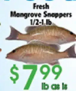 Danforth Food Market Fresh Mangrove Snappers offer