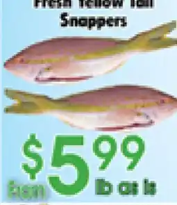 Danforth Food Market Fresh Yellow Tail Snappers offer
