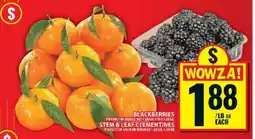 Food Basics Blackberries and Stem & Leaf Clementines offer