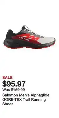 Sport Chek Salomon Men's Alphaglide GORE-TEX Trail Running Shoes offer