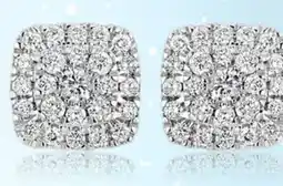 Charm Diamond 10K White Gold 0.50CTW Bouquet Earrings offer