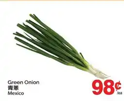 T&T Supermarket GREEN ONION offer