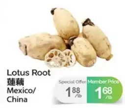 T&T Supermarket LOTUS ROOT offer