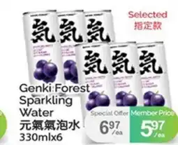 T&T Supermarket GENKIFOREST SPARKLING WATER, 330mlx6 offer
