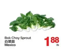 T&T Supermarket BOK CHOY SPROUT offer