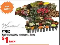 Len's Mill Stores STEMS offer