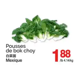 T&T Supermarket POUSSES DE BOK CHOY offer
