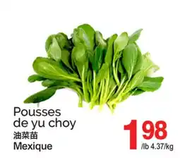T&T Supermarket POUSSES DE YU CHOY offer