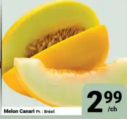 Pasquier Melon Canari offer